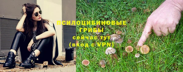 прущие грибы Абдулино
