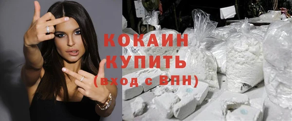 прущие грибы Абдулино