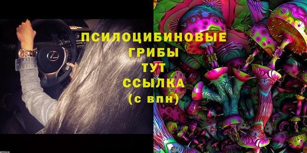 молекула духа Абинск
