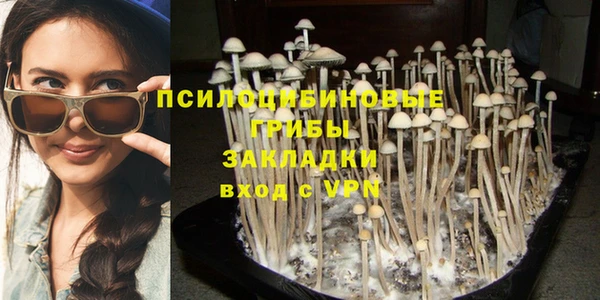 прущие грибы Абдулино