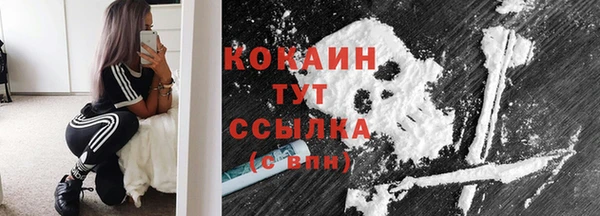 прущие грибы Абдулино