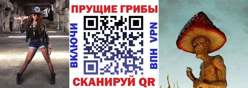 цена   Хадыженск  Галлюциногенные грибы ЛСД 